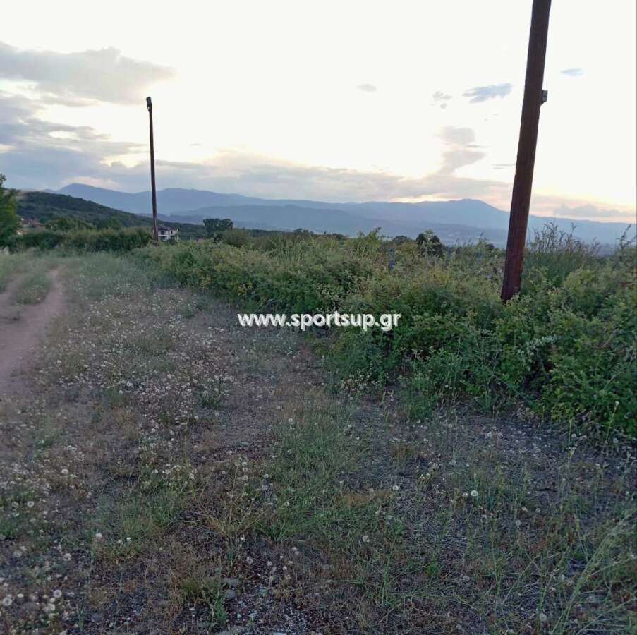 Βεργίνα: Ένα γήπεδο που κάποτε έσφυζε από ζωή, σήμερα εκπέμπει SOS (photos)